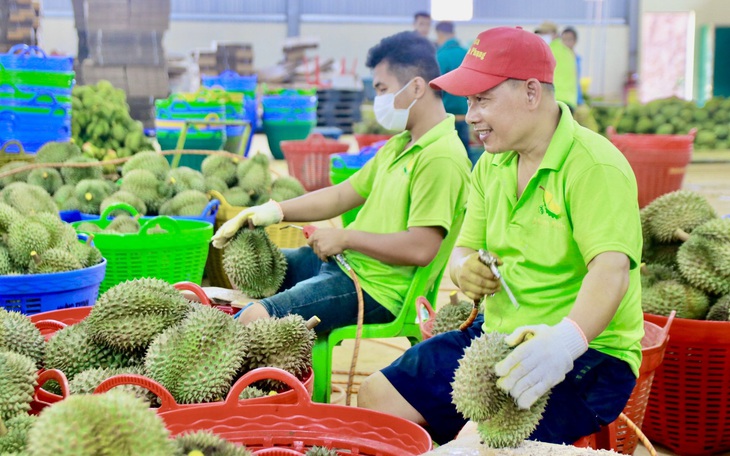 Nông lâm thủy sản xuất siêu kỷ lục