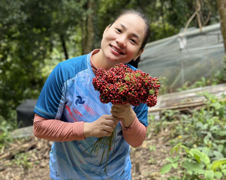 Bùi Thị Triều với những hạt giống sâm Ngọc Linh quý giá