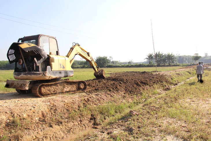 Cánh đồng Gò Quýt giờ đã trở nên bằng phẳng, thuận tiện sản xuất - Ảnh: TRẦN MAI