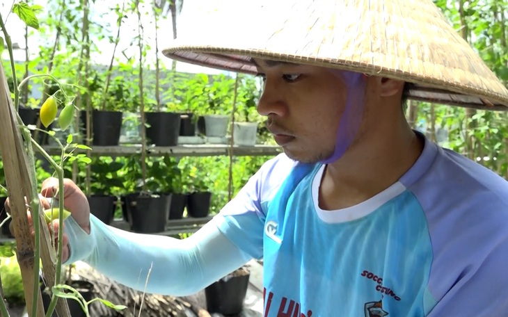 Những ô vuông ánh sáng - Ảnh 1.