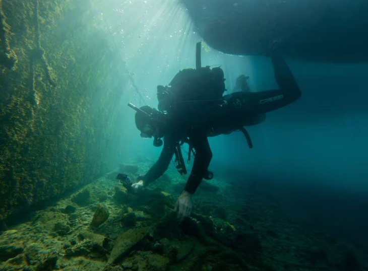 Chuyên gia bảo tồn Sandro Dujmovic kiểm tra một con Pinna nobilis sống ở cảng Vrsar, Croatia, hôm 7-12-2023 - Ảnh: REUTERS/Antonio Bronic