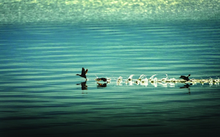 Du khách checkin buôn cổ, lên máy cày đi làm rẫy - Ảnh 12.