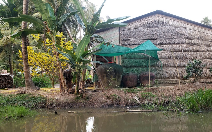 Những chuyến trở về nhà