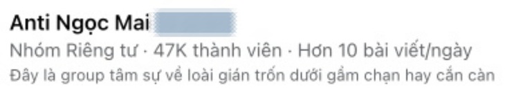 O Sen Ngọc Mai bị lập nhiều group anti, có nhóm lên tới 47.000 thành viên - Ảnh 2.