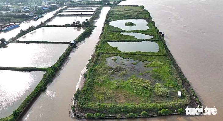 Cồn bãi sông Mekong - Kỳ 1: Cù lao Cá Lóc bảy nổi ba chìm - Ảnh 2.