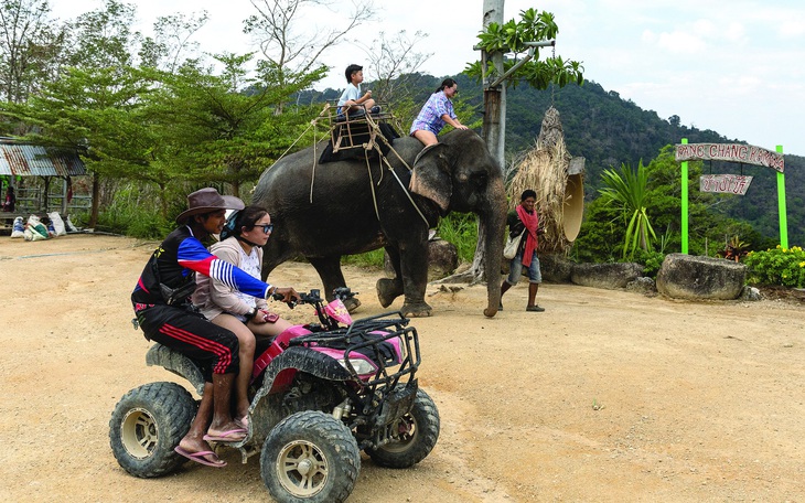 Du lịch voi trong kỷ nguyên 'hợp đạo đức'