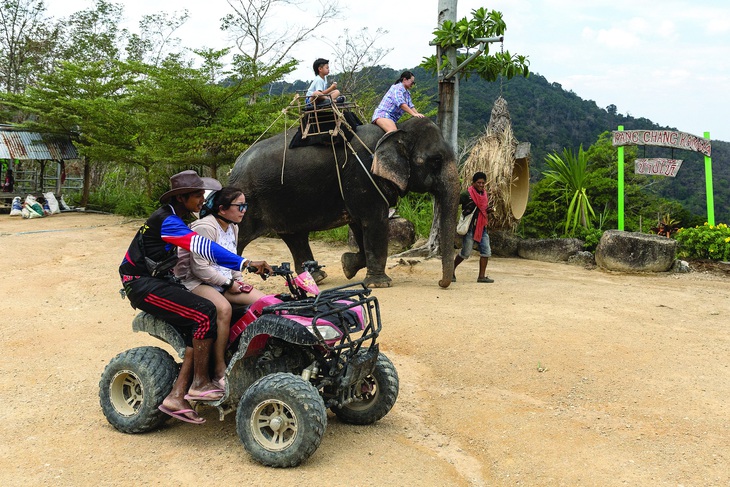 Du khách Trung Quốc cưỡi voi ở  Phuket (Thái Lan) tháng 1-2023. Ảnh: Reuters