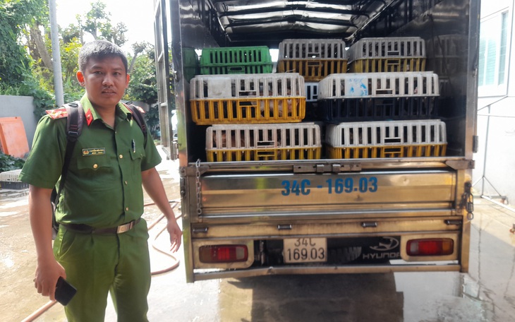Giải cứu 480 mèo sống, tiêu hủy mấy ngàn mèo đông lạnh chuẩn bị nấu cao