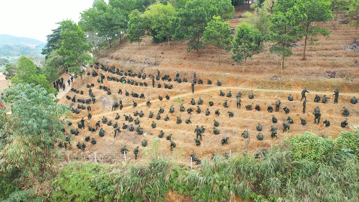 Các tân binh và cán bộ tham gia trồng cây xanh tại Yên Bái - Ảnh: NGUYỄN HẰNG