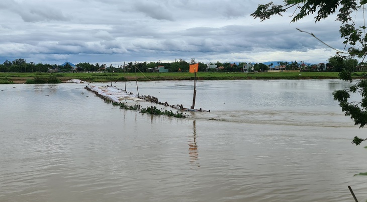 Thiếu cát đắp đập ngăn mặn, hơn 1.800ha cây trồng nguy cơ mất mùa - Ảnh 1.