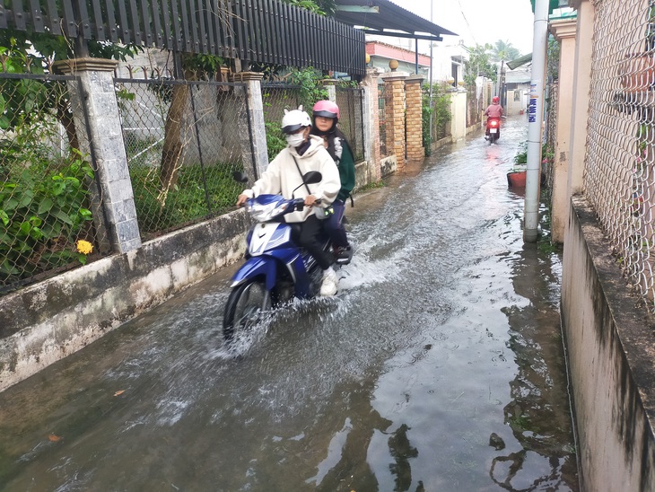 Dân miền Tây cùng lúc đối mặt triều cường và xâm nhập mặn - Ảnh 1.