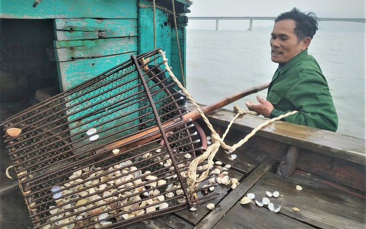 Vì sao hàng trăm tấn ngao bất ngờ chết trắng bãi nuôi - Ảnh 6.