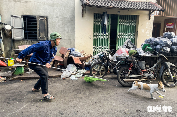 Nhiều người dân TP bày tỏ mong muốn các cơ quan chuyên môn và địa phương thành lập đội bắt chó thả rông, không đeo rọ mõm. Vậy việc thành lập các đội chuyên trách này ra sao? - Ảnh: CHÂU TUẤN