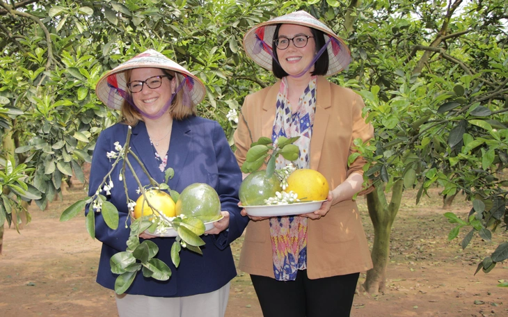 Bộ Nông nghiệp Mỹ gửi phái đoàn TRUMP sang Việt Nam, mở rộng thị trường - Ảnh 2.