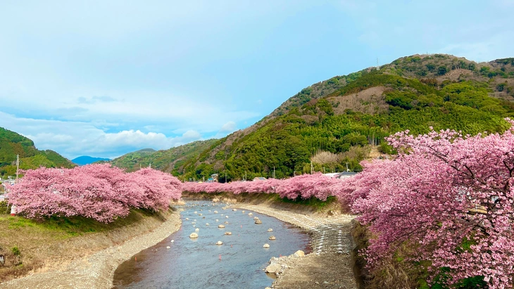 Nhật Bản tăng phí visa - Ảnh 1. visa - Ảnh 1.