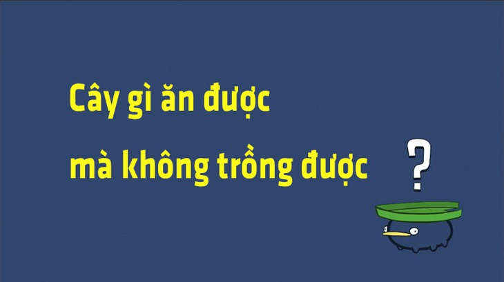 Đố vui: Cây gì ăn được mà không trồng được? - Ảnh 1. Đố vui: Cây gì ăn được mà không trồng được? - Ảnh 1.