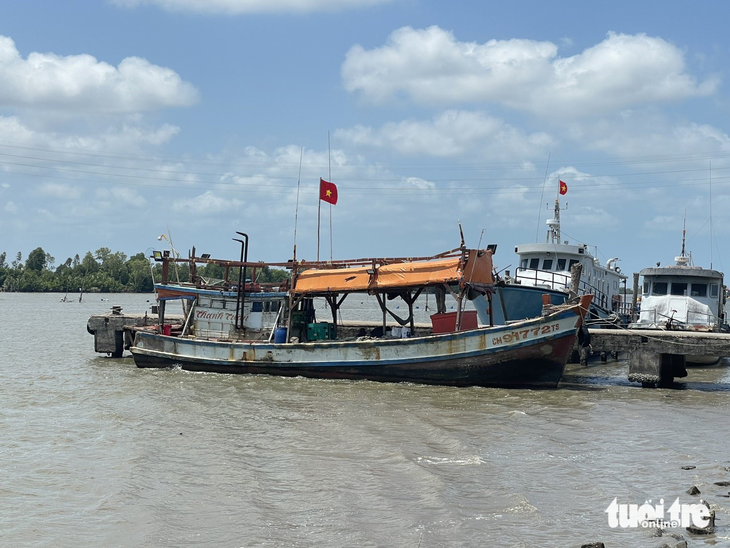 10 tàu cá tháo thiết bị giám sát hành trình để chuyển qua một tàu câu mực chở thuê - Ảnh 1.