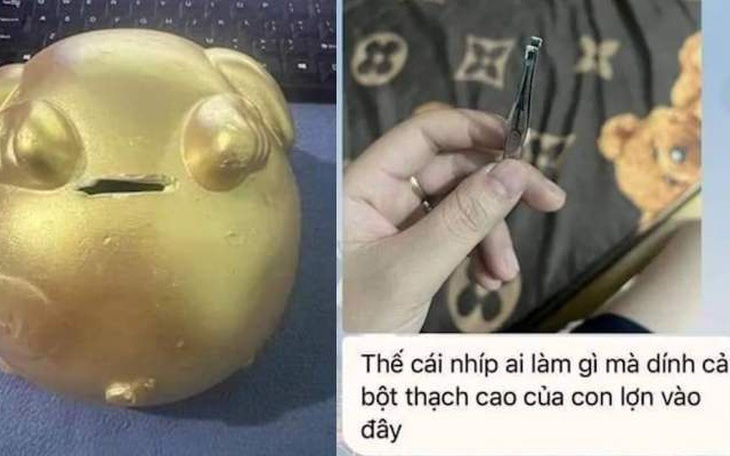 Người phụ nữ đánh tráo 'heo đất' trộm hàng chục triệu đồng - Ảnh 2.