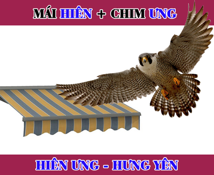 Đuổi hình bắt chữ: Đây là tỉnh thành nào của nước ta? - Ảnh 3.