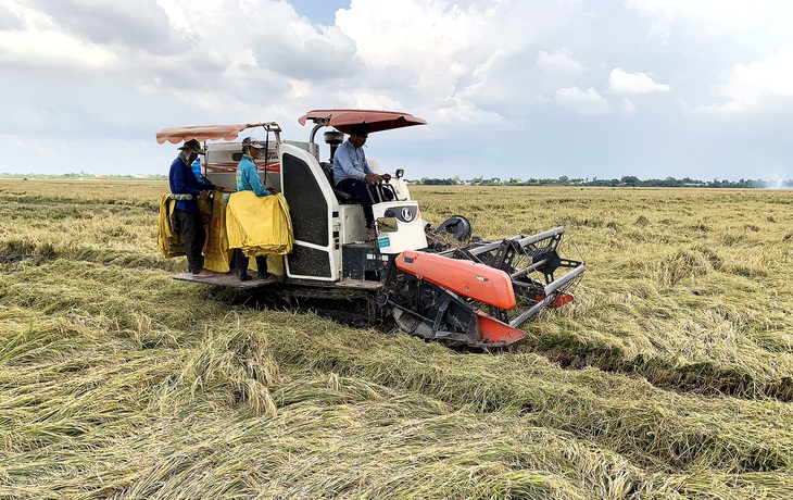 Nông dân trồng lúa lời 100%: Nhiều bạn đọc nói báo cáo láo - Ảnh 1.