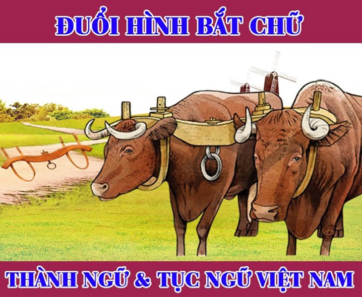 Đuổi hình bắt chữ: Đây là câu tục ngữ gì? - Ảnh 4.