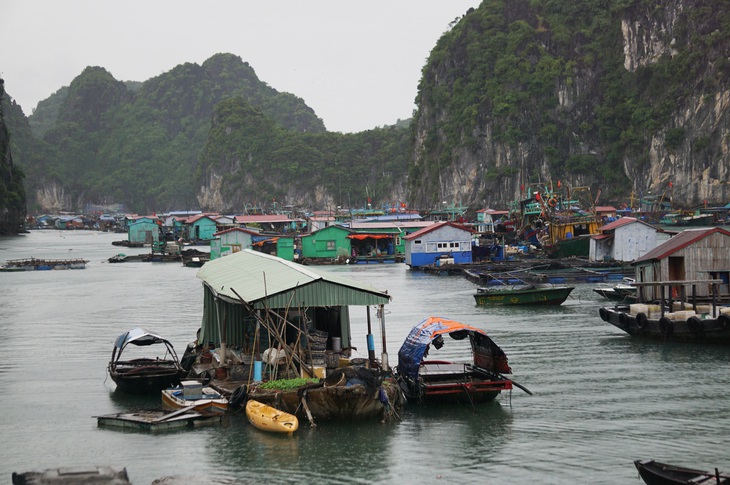 Phê bình chủ tịch huyện Cát Hải vì báo cáo không đúng thực tế - Ảnh 1.