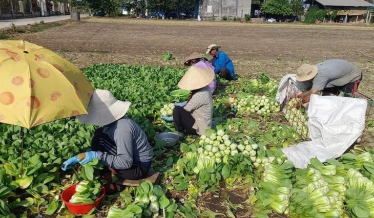 Tin tức sáng 31-3: Nhập khẩu ô tô nguyên chiếc tăng gần 100%; Còn 1 ngày chuẩn hóa SIM điện thoại - Ảnh 1.