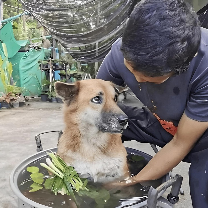 Ảnh vui 7-3: Đánh bida là phụ nhưng làm dáng là chính - Ảnh 3.