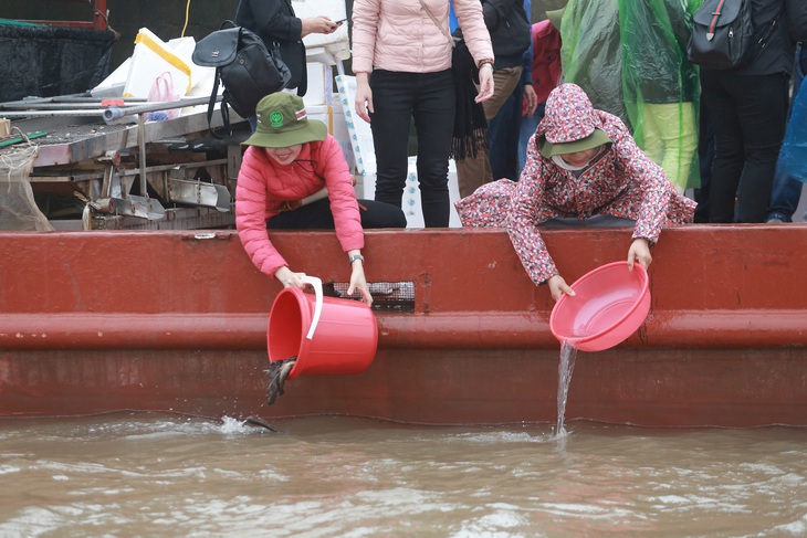 Các đại biểu, người dân thả cá xuống sông ở vườn quốc gia Xuân Thủy - Ảnh: C. TUỆ