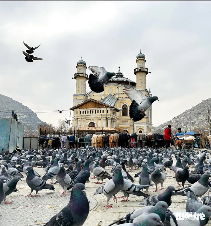 Afghanistan triền miên trong chiến tranh nhưng cũng không thiếu những hình ảnh mang ý nghĩa hòa bình này  - Ảnh TRUNG NGHĨA