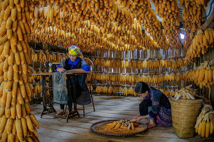 Vua giải thưởng triển lãm ảnh thế giới Vũ Hải nói gì khi kỷ lục bị nghi ngờ? - Ảnh 2.