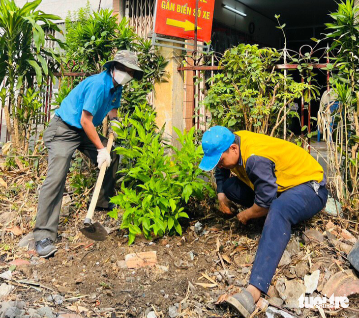 Quận Phú Nhuận ra quân trồng hoa thay áo cho tuyến đường sắt - Ảnh 3.