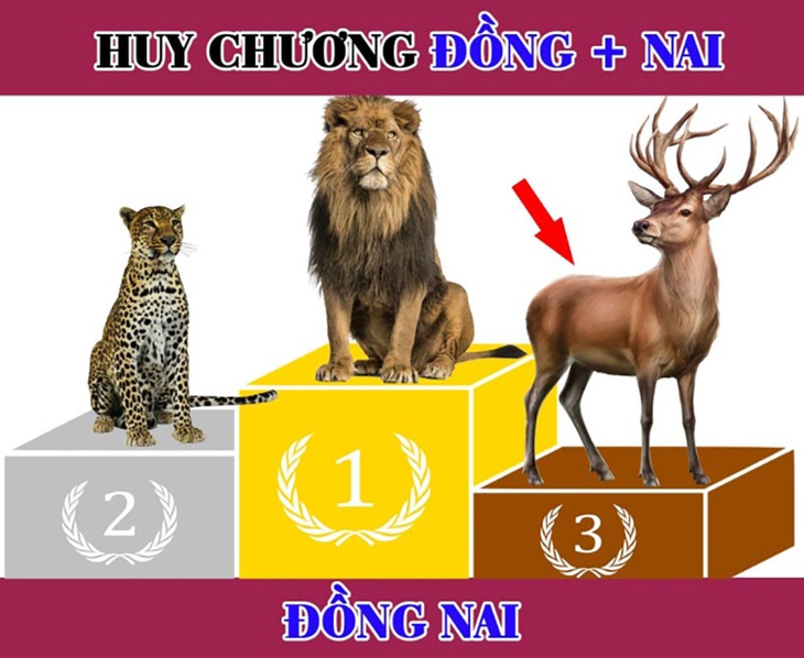 IQ cao mới biết được đây là tỉnh nào của Việt Nam? - Ảnh 3.