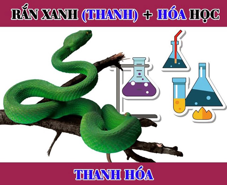 Đuổi hình bắt chữ: Đây là tỉnh thành nào của nước ta? (P5) - Ảnh 9.