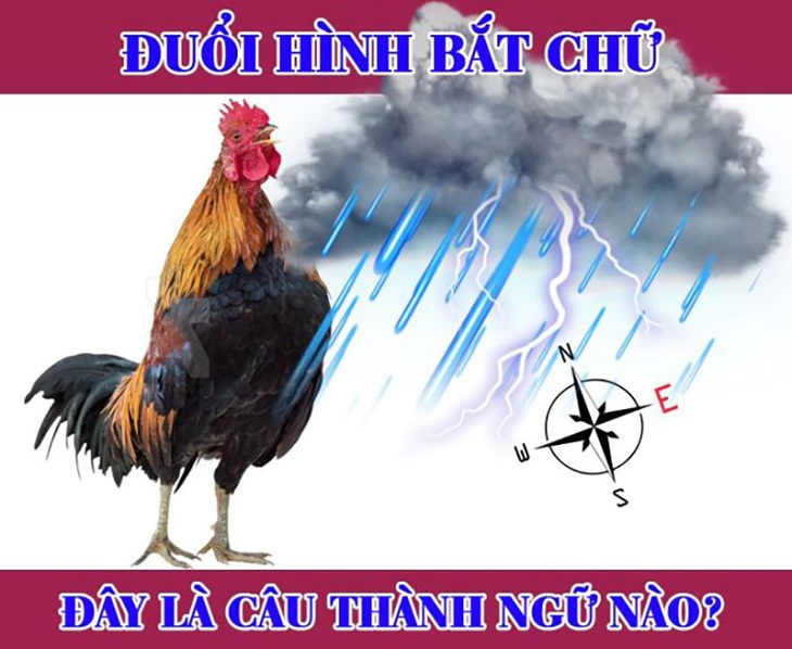 Người giỏi suy luận có biết câu thành ngữ hại não này? - Ảnh 1.