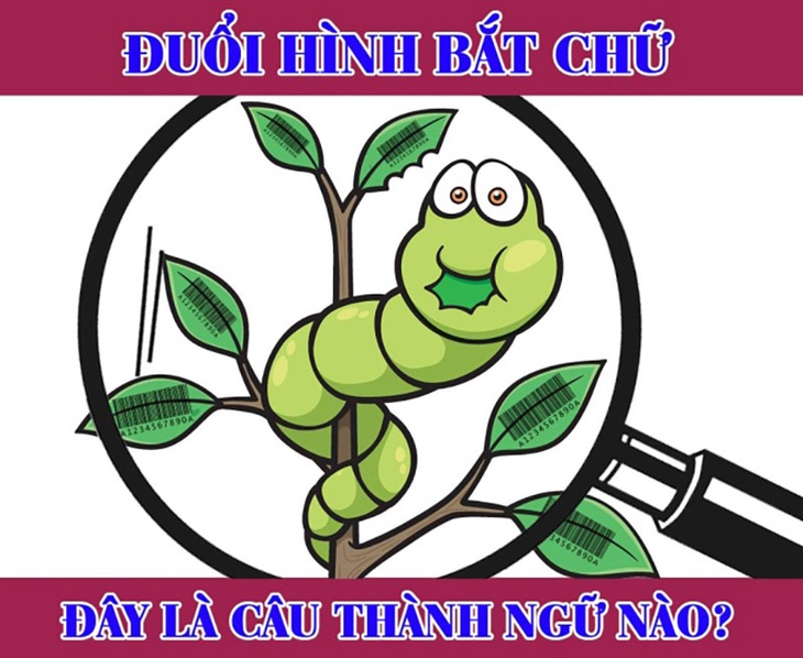 Người giỏi suy luận có biết câu thành ngữ hại não này? - Ảnh 4.