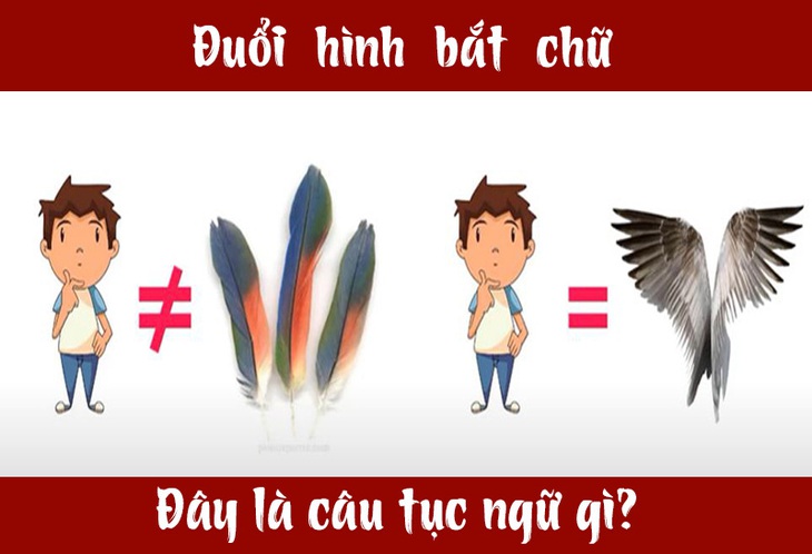 Người hiểu biết có nhận ra đây là câu thành ngữ, tục ngữ nào? - Ảnh 7.