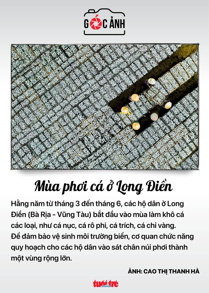 Mùa làm khô ở Long Điền