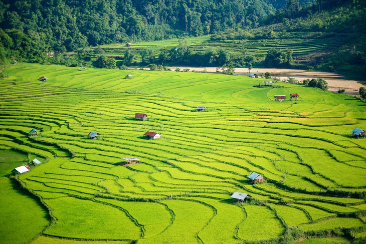 Kon Tum xin lập đề án đánh giá khả năng quy hoạch sân bay Măng Đen - Ảnh 1.