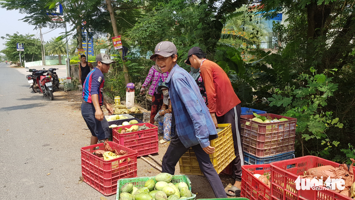 Ký xoài keo thua ly trà đá mà còn hổng có người mua - Ảnh 3.