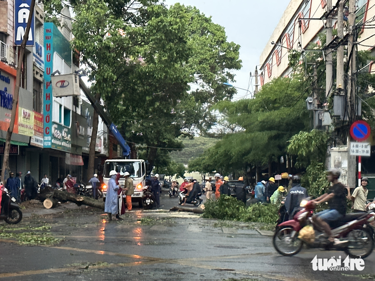 Cây đổ đè gãy cổ một phụ nữ - Ảnh 3.