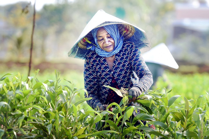 Thời tiết hôm nay: Nắng nóng bủa vây khắp nơi - Ảnh 2. Thời tiết hôm nay: Nắng nóng bủa vây khắp nơi - Ảnh 2.