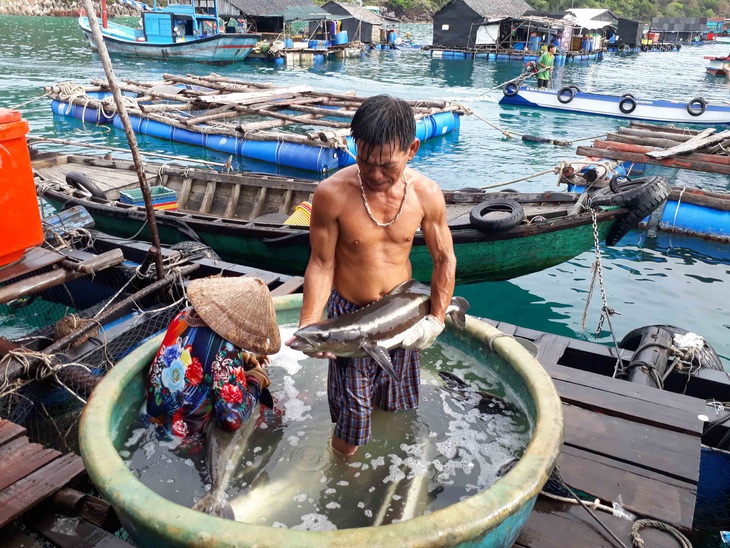 Phát triển nguồn nước sông Mekong, Việt Nam mong muốn các giải pháp cụ thể - Ảnh 1.