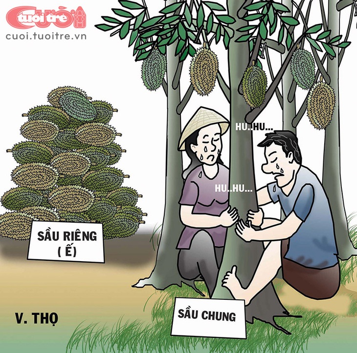 Nông dân vái thần sầu riêng - Ảnh 2.