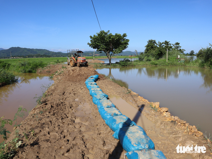 Thiếu đất đắp, đê bao ngăn lũ chậm tiến độ - Ảnh 2.