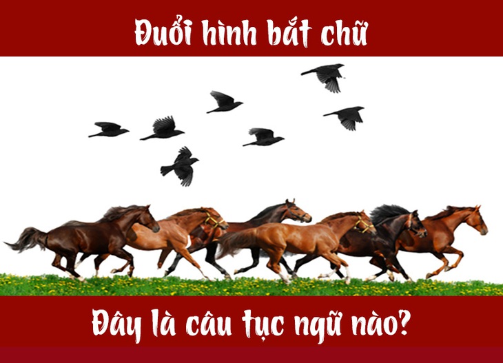 Câu tục ngữ, thành ngữ khó nhằn này là gì? (P11) - Ảnh 1. Câu tục ngữ, thành ngữ khó nhằn này là gì? (P11) - Ảnh 1.