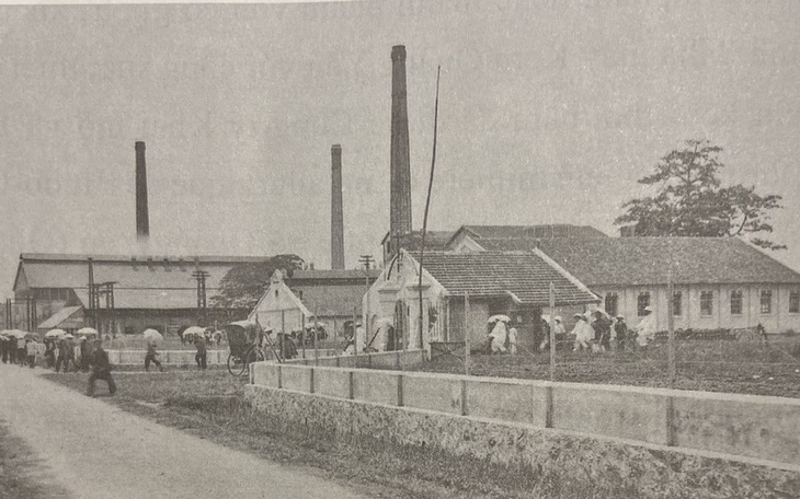 Từ giấc mơ đến khát vọng: Bạch Thái Bưởi 'sếu đầu đàn' - Ảnh 3.