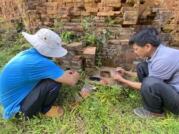 Lấy mẫu gạch tháp Chăm Khương Mỹ kiểm tra hàm lượng muối - Ảnh 1.