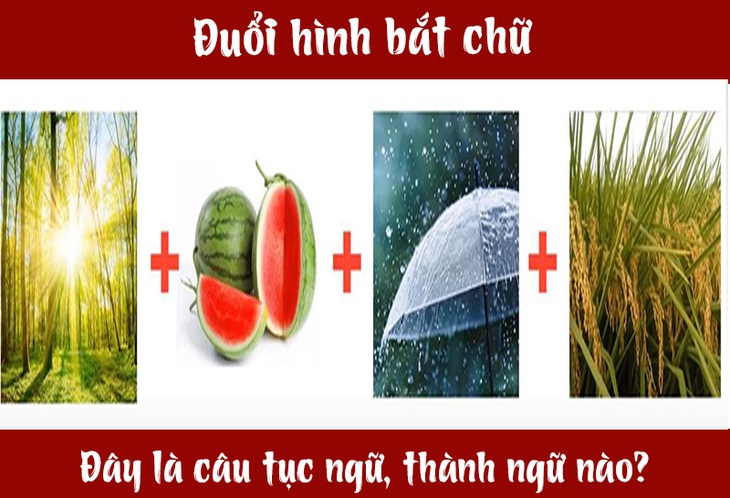 Câu tục ngữ, thành ngữ khó nhằn này là gì? (P13) - Ảnh 7. Câu tục ngữ, thành ngữ khó nhằn này là gì? (P13) - Ảnh 7.