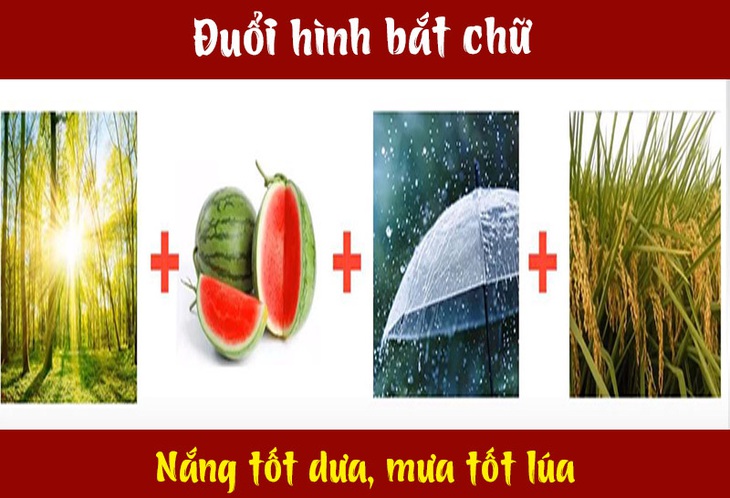 Câu tục ngữ, thành ngữ khó nhằn này là gì? (P13) - Ảnh 9. Câu tục ngữ, thành ngữ khó nhằn này là gì? (P13) - Ảnh 9.